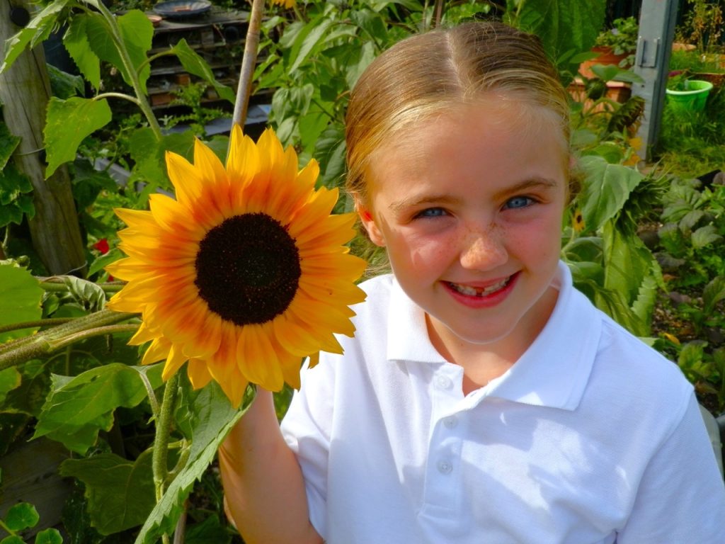 gallery-aldwyn-primary-school